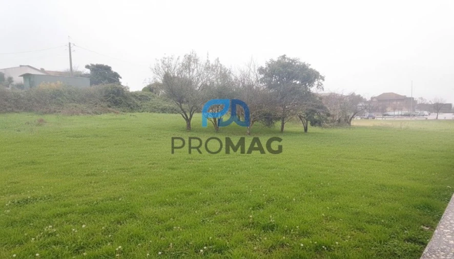 Terreno para Venda em Canelas e Fermelã