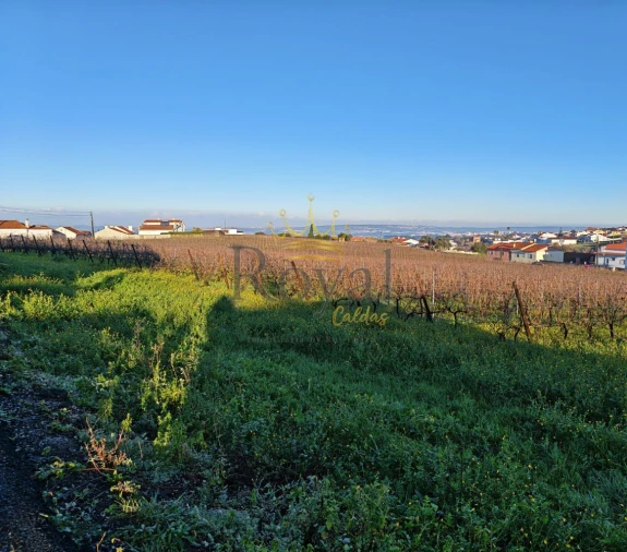 Terreno para Venda em Gaeiras Foto 3