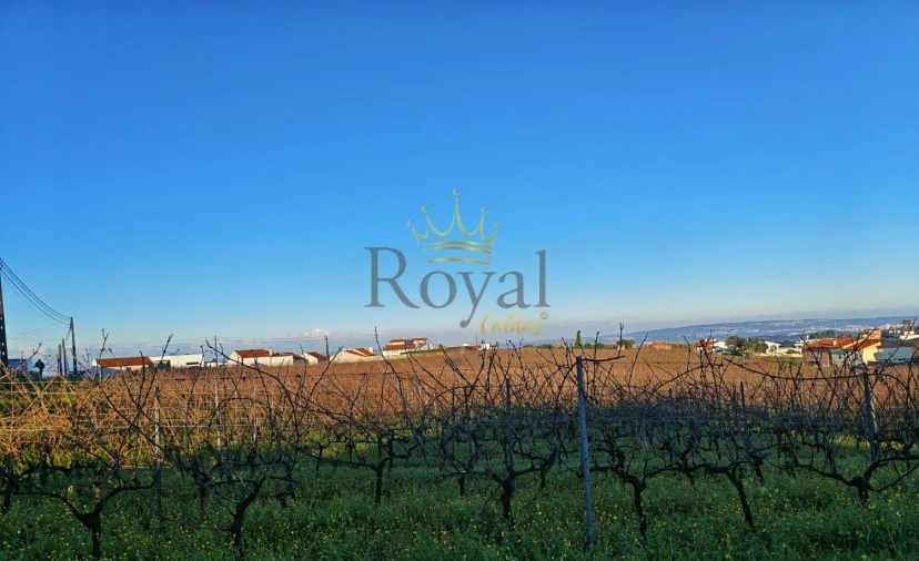 Terreno para Venda em Gaeiras Foto 2