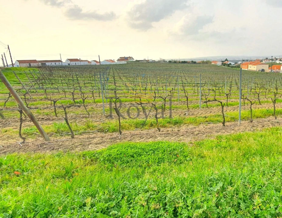 Terreno para Venda em Gaeiras Foto 1