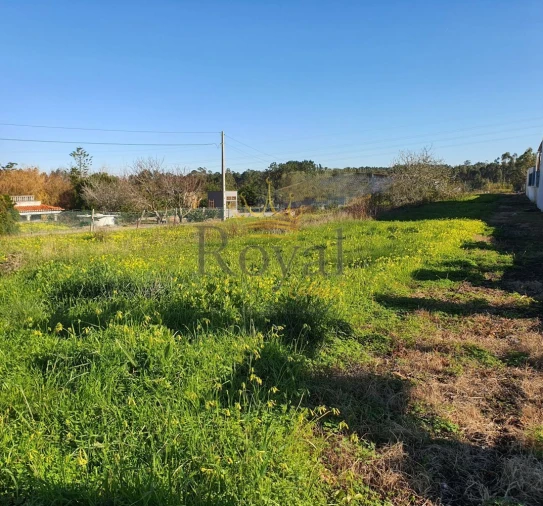 Terreno para Venda em Gaeiras