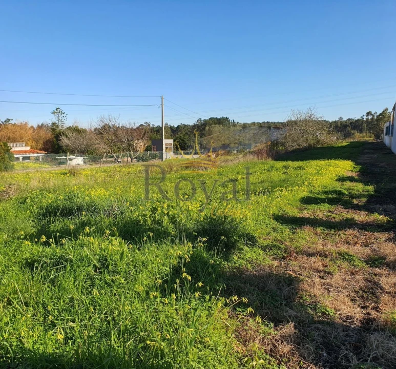 Terreno para Venda em Gaeiras Foto 1