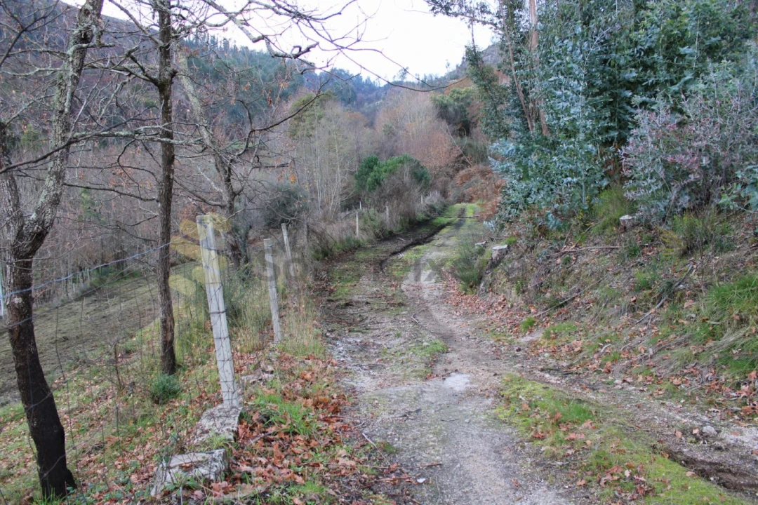 Terreno para Venda em Vila Boa de Quires e Maureles Foto 9