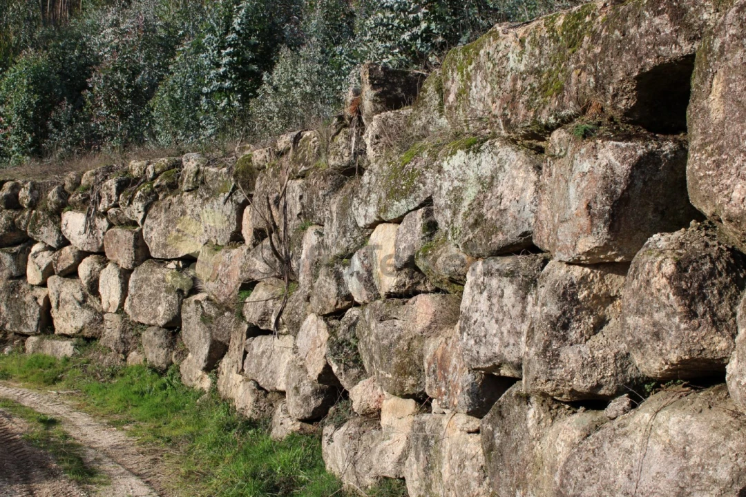 Terreno para Venda em Vila Boa de Quires e Maureles Foto 11