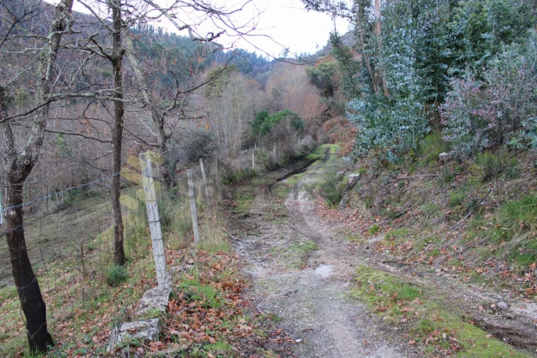 Terreno para Venda em Vila Boa de Quires e Maureles Foto 9