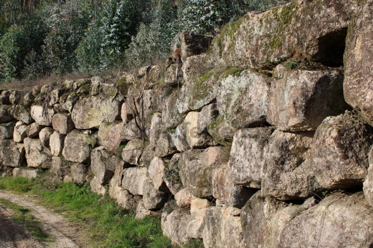Terreno para Venda em Vila Boa de Quires e Maureles Foto 11
