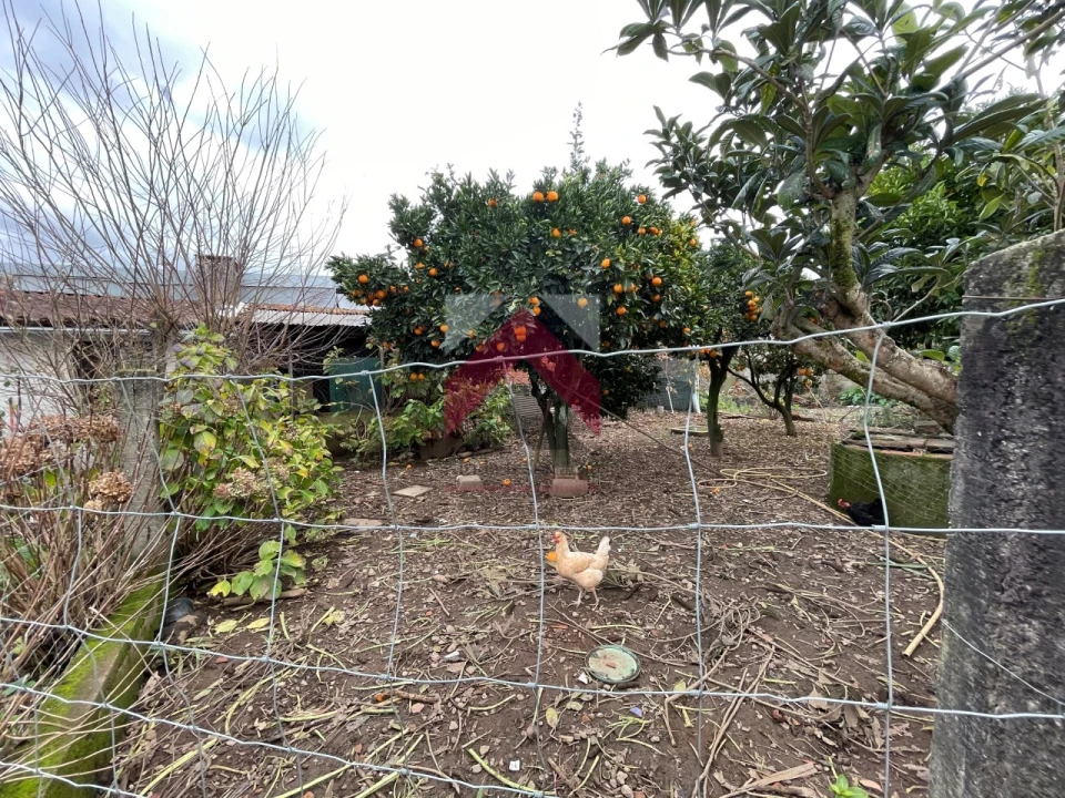 Moradia T3 para Venda em Valongo do Vouga Foto 22