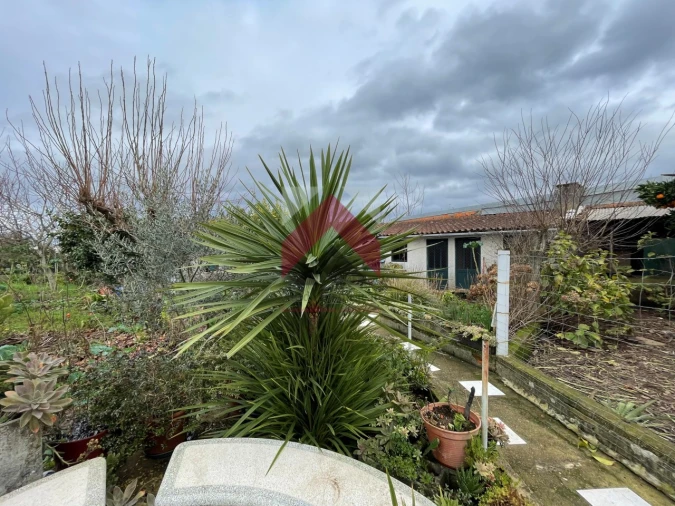 Moradia T3 para Venda em Valongo do Vouga Foto 23