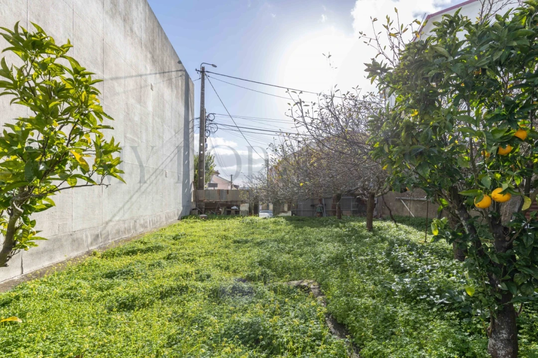Terreno para Venda em Casal de Cambra Foto 4