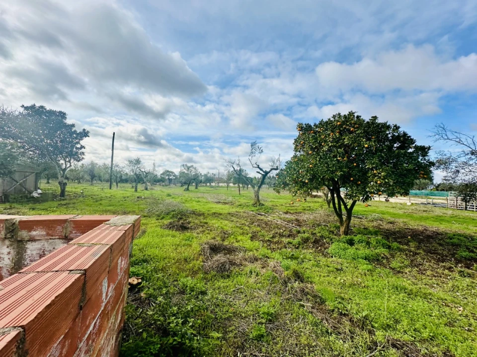 Moradia T3 para Venda em Martinchel Foto 17