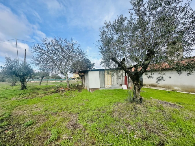 Moradia T3 para Venda em Martinchel Foto 16