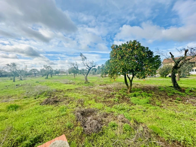 Moradia T3 para Venda em Martinchel Foto 22