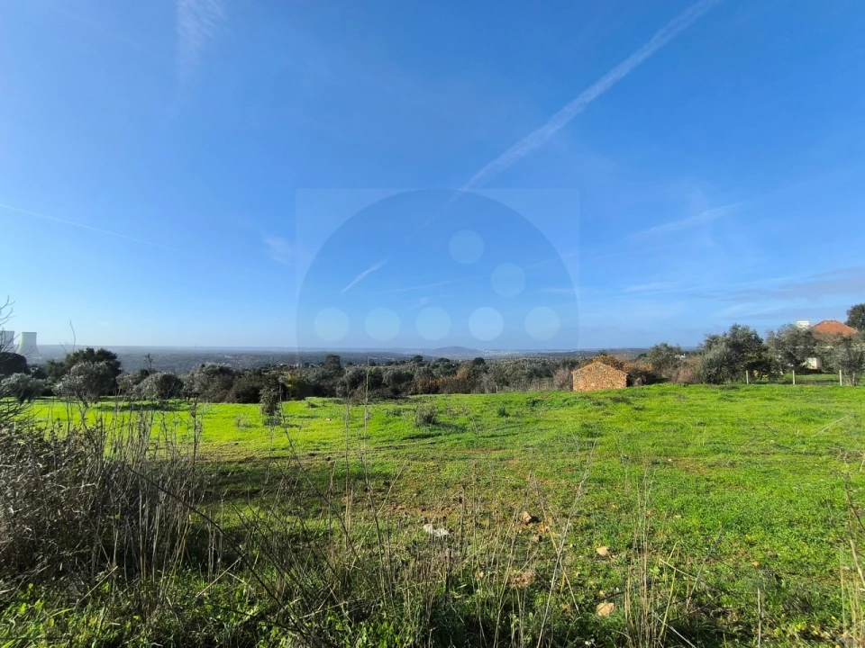 Terreno para Venda em Mouriscas Foto 3