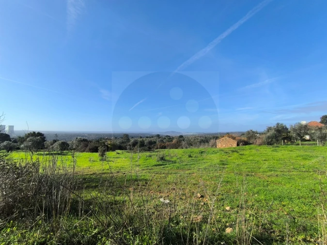 Terreno para Venda em Mouriscas Foto 3