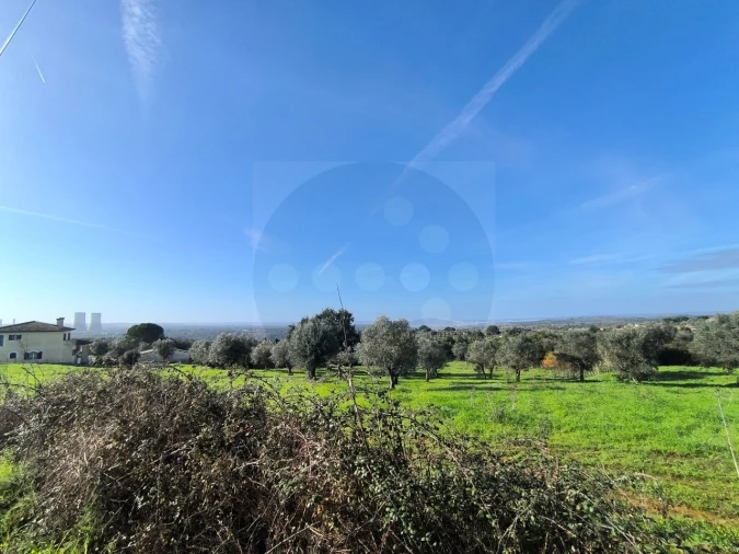 Terreno para Venda em Mouriscas Foto 12