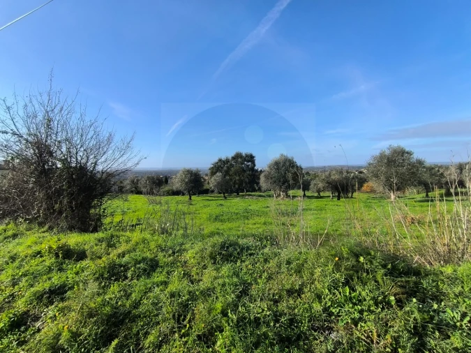 Terreno para Venda em Mouriscas Foto 16