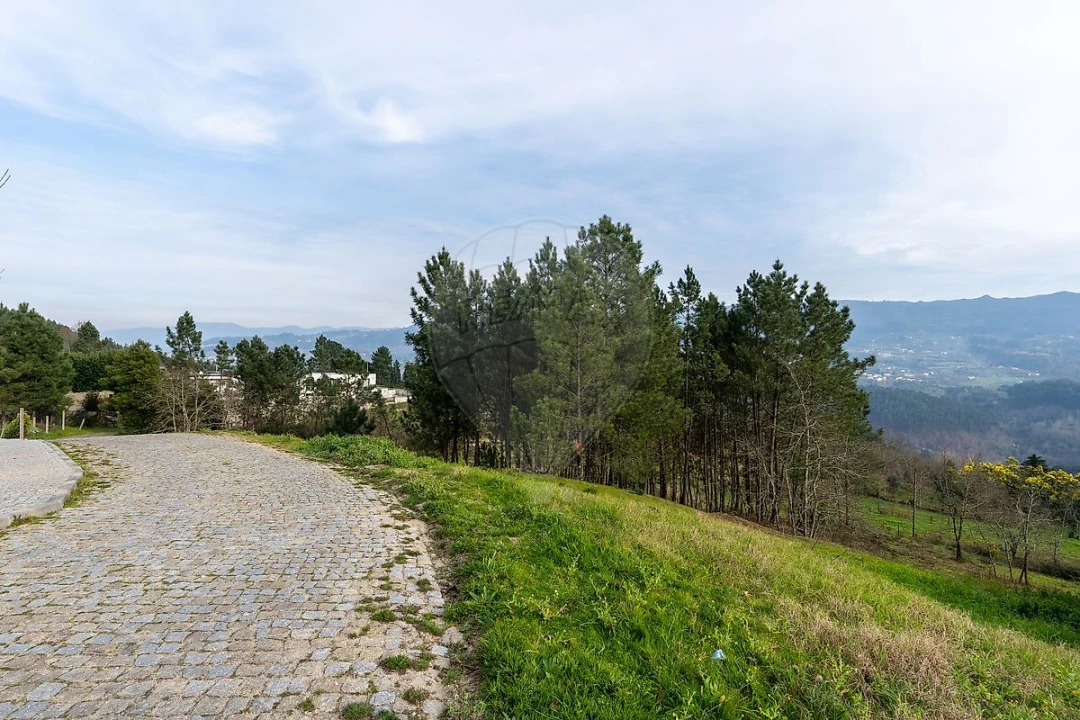Terreno para Venda em Várzea, Aliviada e Folhada Foto 13