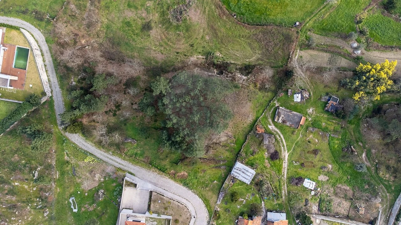 Terreno para Venda em Várzea, Aliviada e Folhada Foto 3