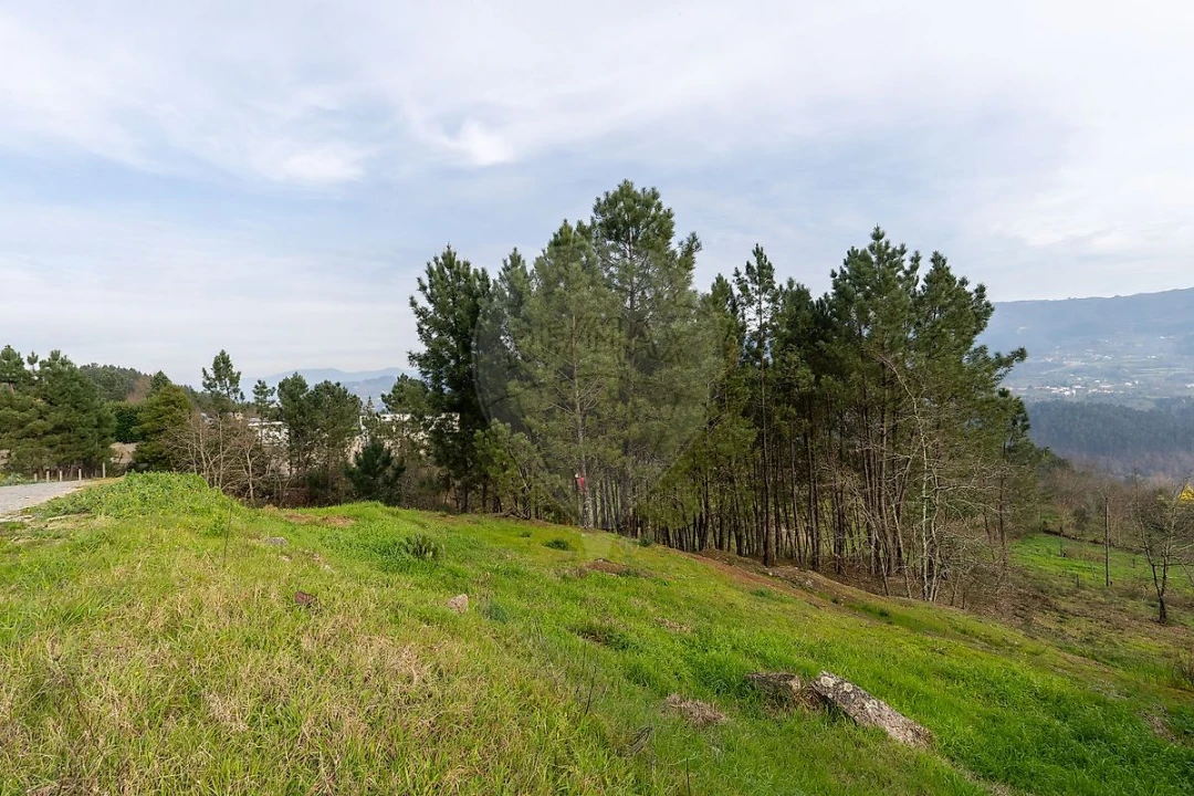 Terreno para Venda em Várzea, Aliviada e Folhada Foto 14