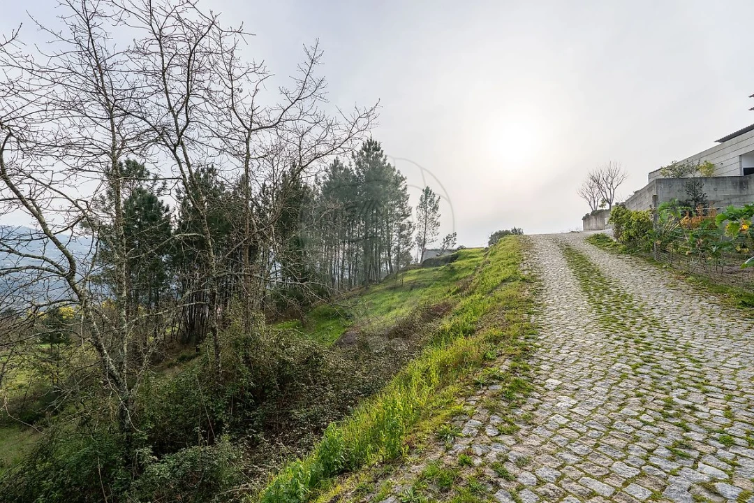 Terreno para Venda em Várzea, Aliviada e Folhada Foto 19