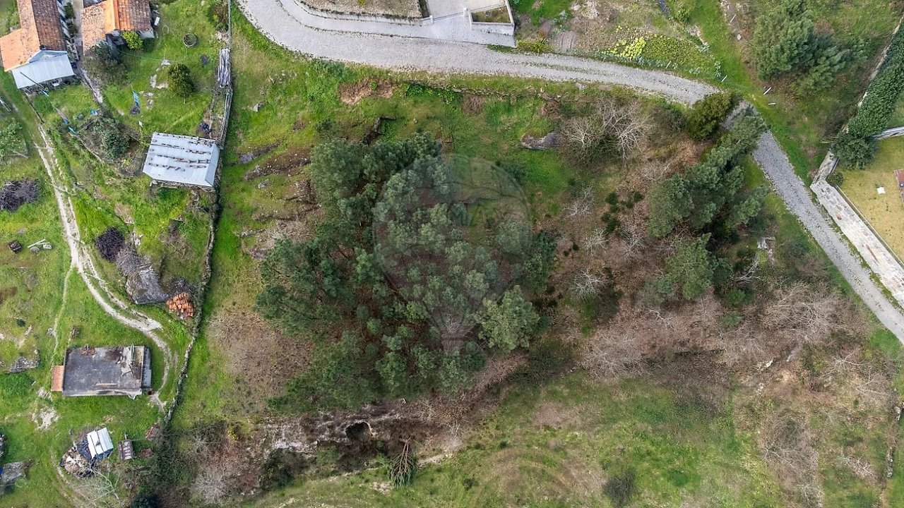 Terreno para Venda em Várzea, Aliviada e Folhada Foto 7
