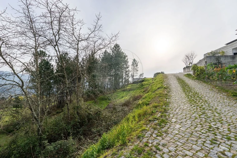 Terreno para Venda em Várzea, Aliviada e Folhada Foto 19