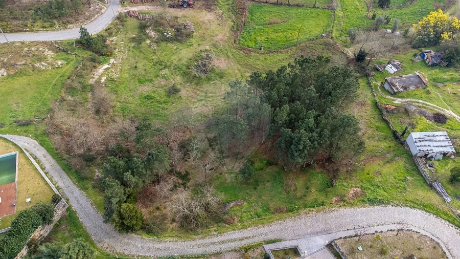 Terreno para Venda em Várzea, Aliviada e Folhada Foto 11