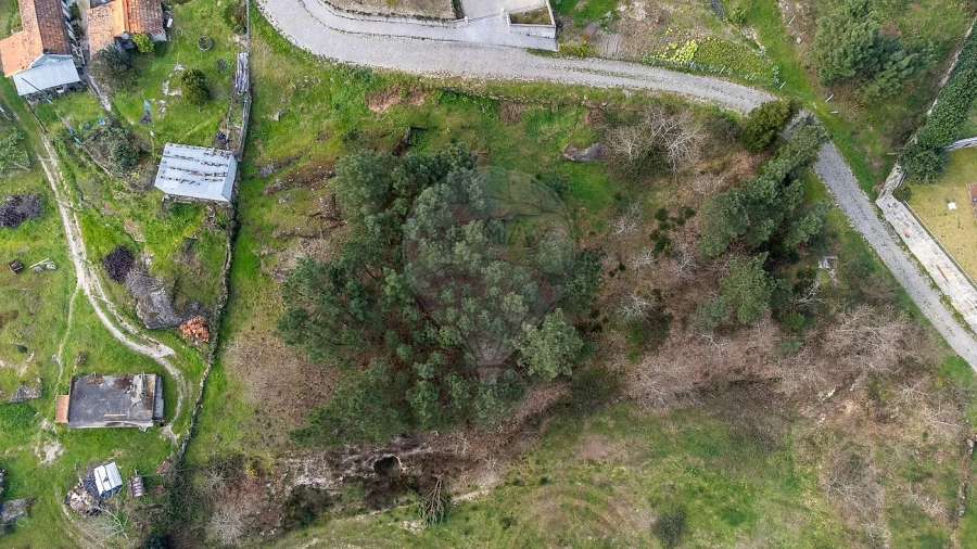 Terreno para Venda em Várzea, Aliviada e Folhada Foto 7
