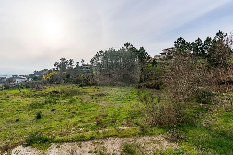 Terreno para Venda em Várzea, Aliviada e Folhada Foto 16