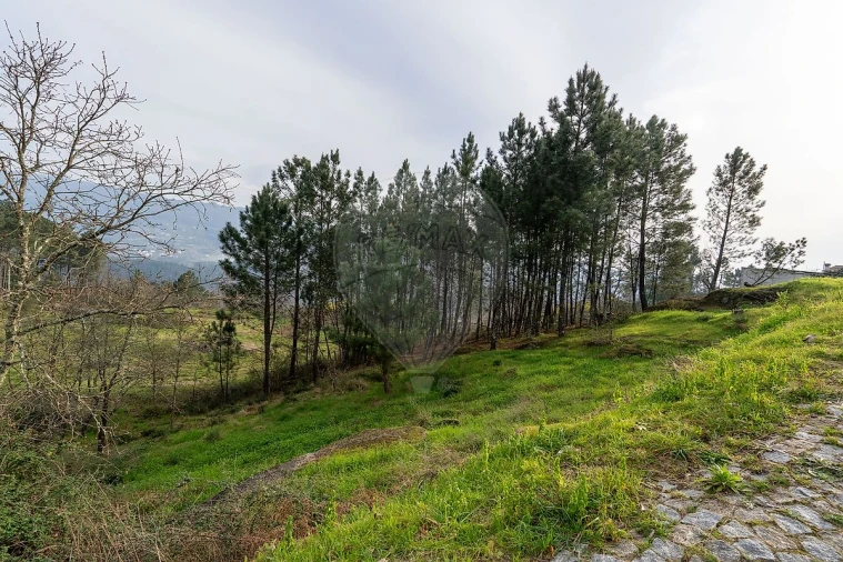 Terreno para Venda em Várzea, Aliviada e Folhada Foto 20