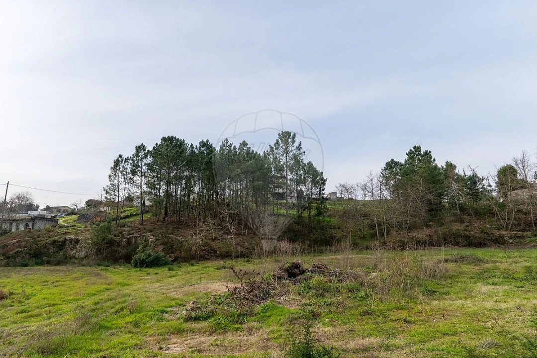 Terreno para Venda em Várzea, Aliviada e Folhada Foto 18