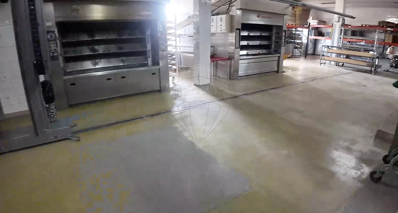 Negócio para Venda em Penha Garcia Foto 5