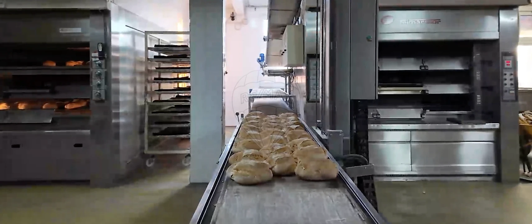 Negócio para Venda em Penha Garcia Foto 15