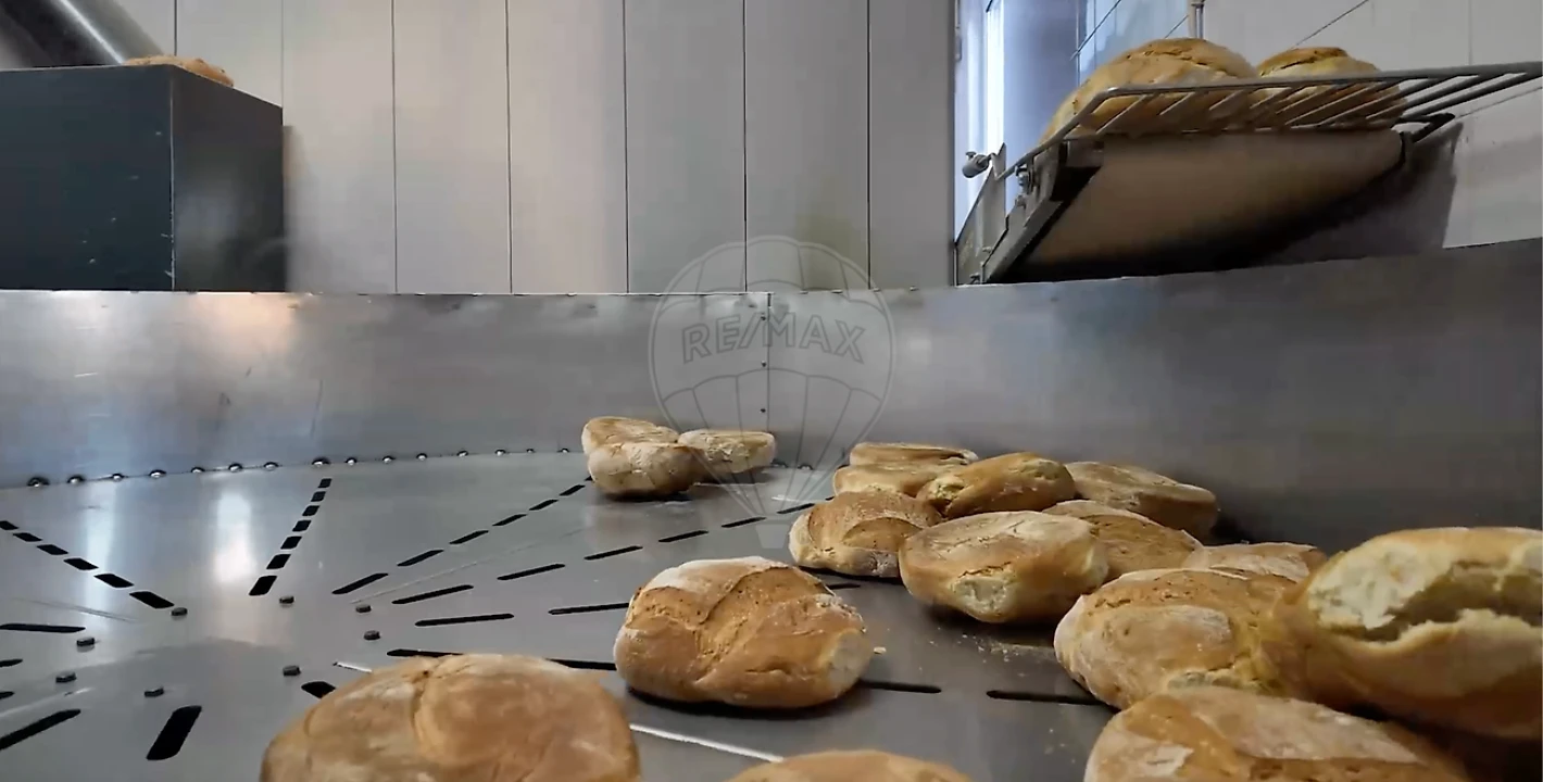 Negócio para Venda em Penha Garcia Foto 16