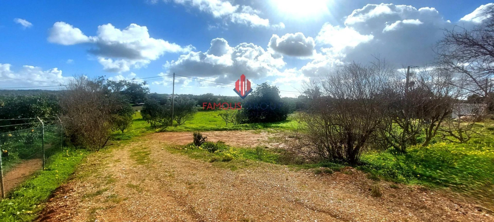 Terreno Agricola ou Rústico para Venda em Silves Foto 10