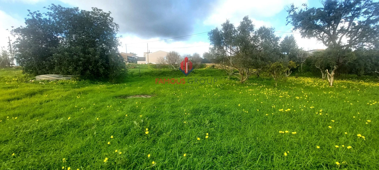 Terreno Agricola ou Rústico para Venda em Silves Foto 21