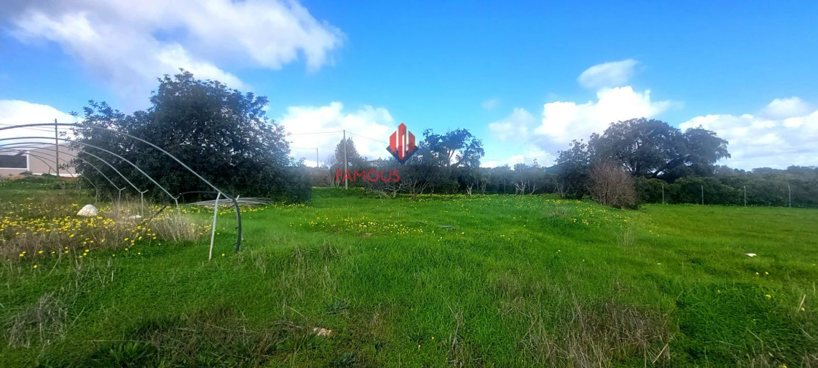 Terreno Agricola ou Rústico para Venda em Silves Foto 25