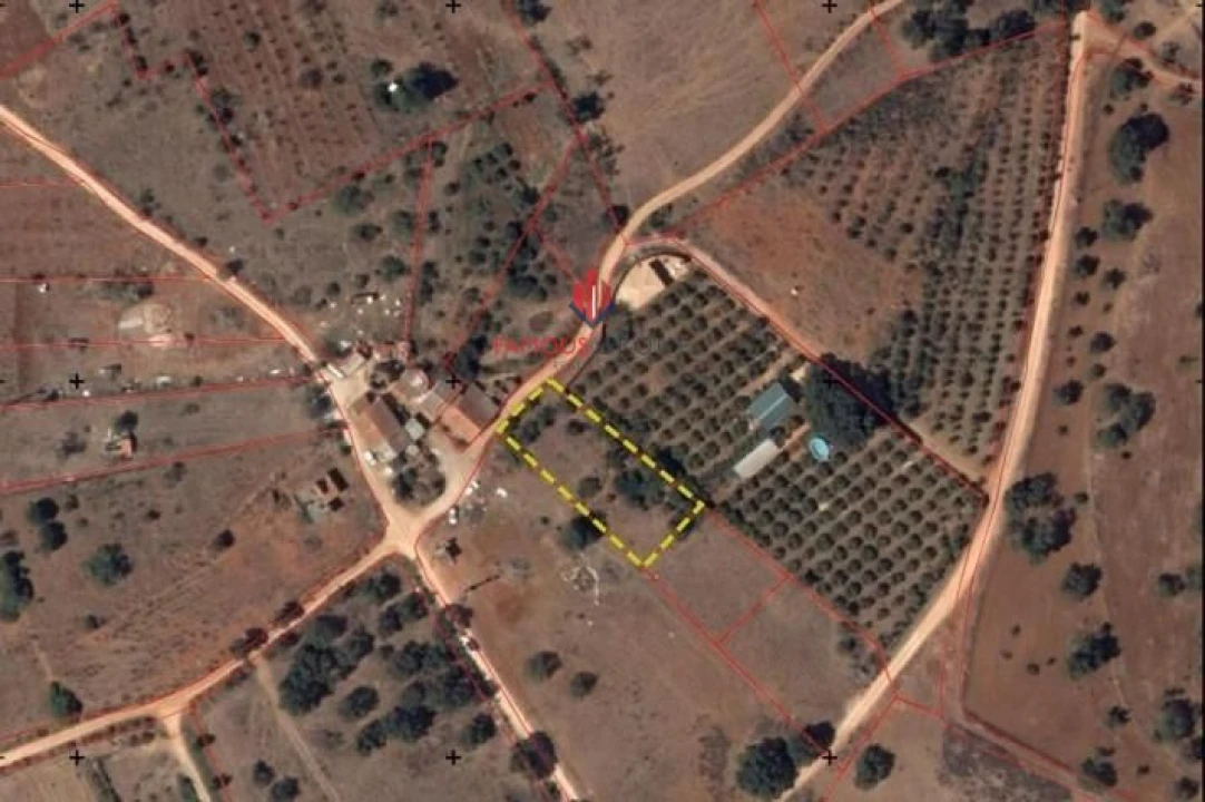 Terreno Agricola ou Rústico para Venda em Silves Foto 29