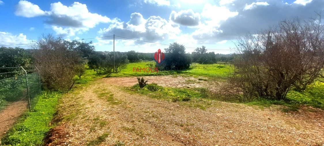 Terreno Agricola ou Rústico para Venda em Silves Foto 12