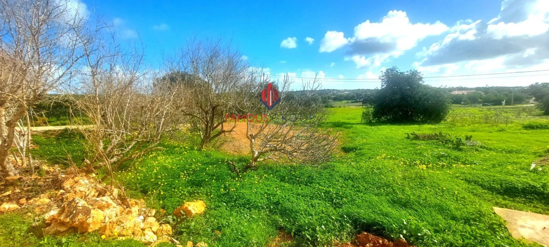 Terreno Agricola ou Rústico para Venda em Silves Foto 14