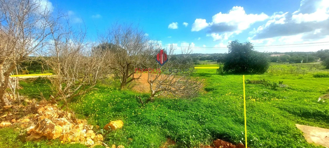 Terreno Agricola ou Rústico para Venda em Silves Foto 15