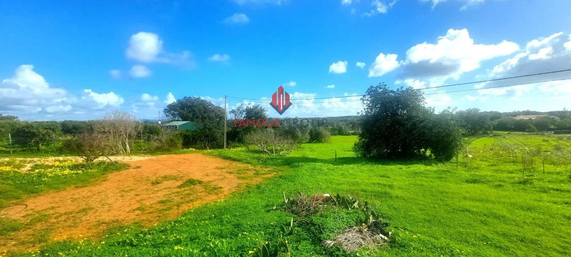 Terreno Agricola ou Rústico para Venda em Silves Foto 17