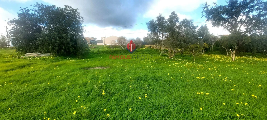 Terreno Agricola ou Rústico para Venda em Silves Foto 21