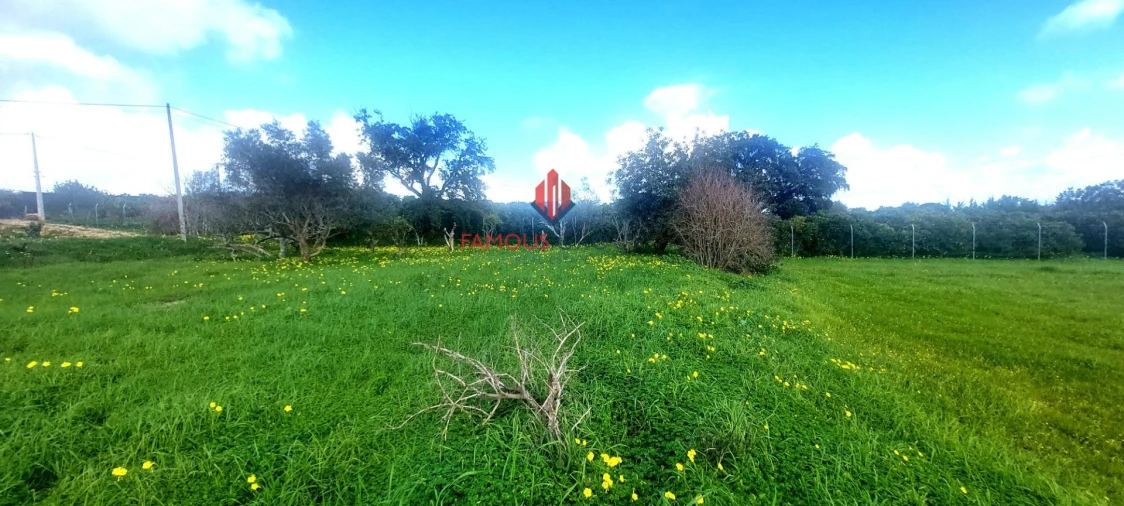 Terreno Agricola ou Rústico para Venda em Silves Foto 23