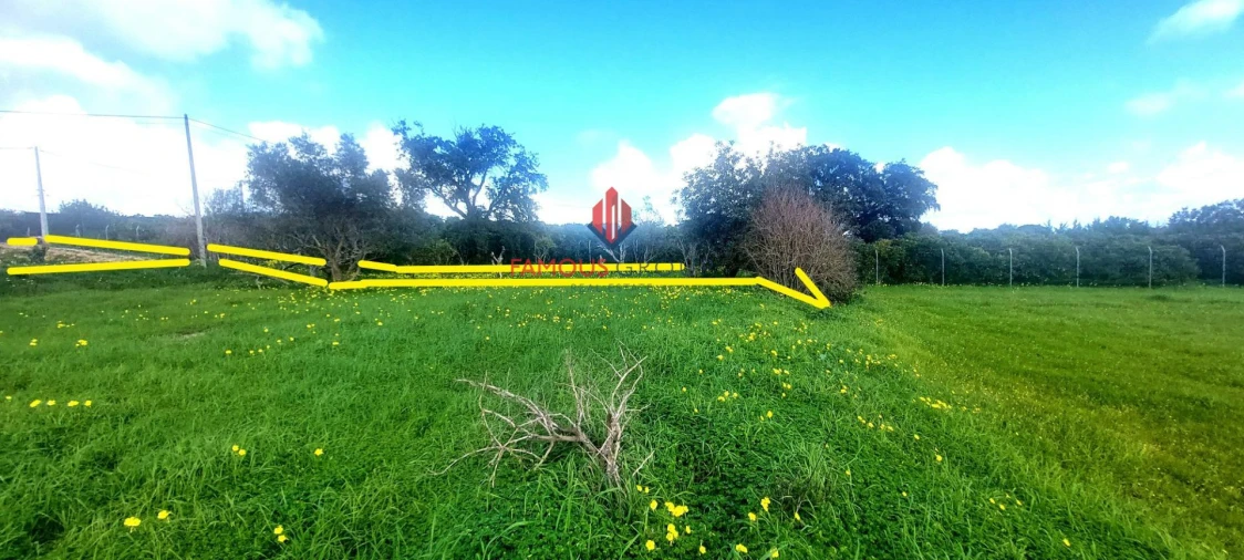 Terreno Agricola ou Rústico para Venda em Silves Foto 24