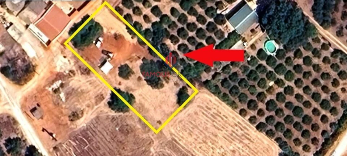 Terreno Agricola ou Rústico para Venda em Silves Foto 3