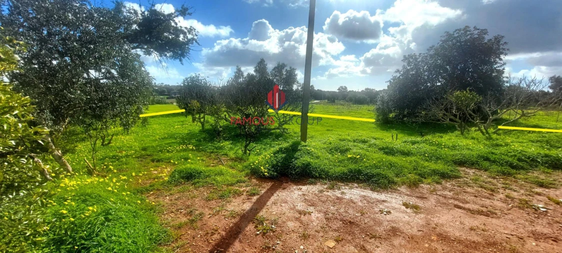 Terreno Agricola ou Rústico para Venda em Silves Foto 5