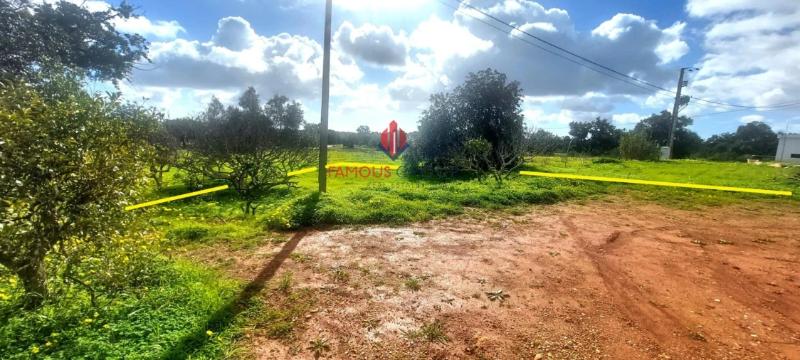 Terreno Agricola ou Rústico para Venda em Silves Foto 9