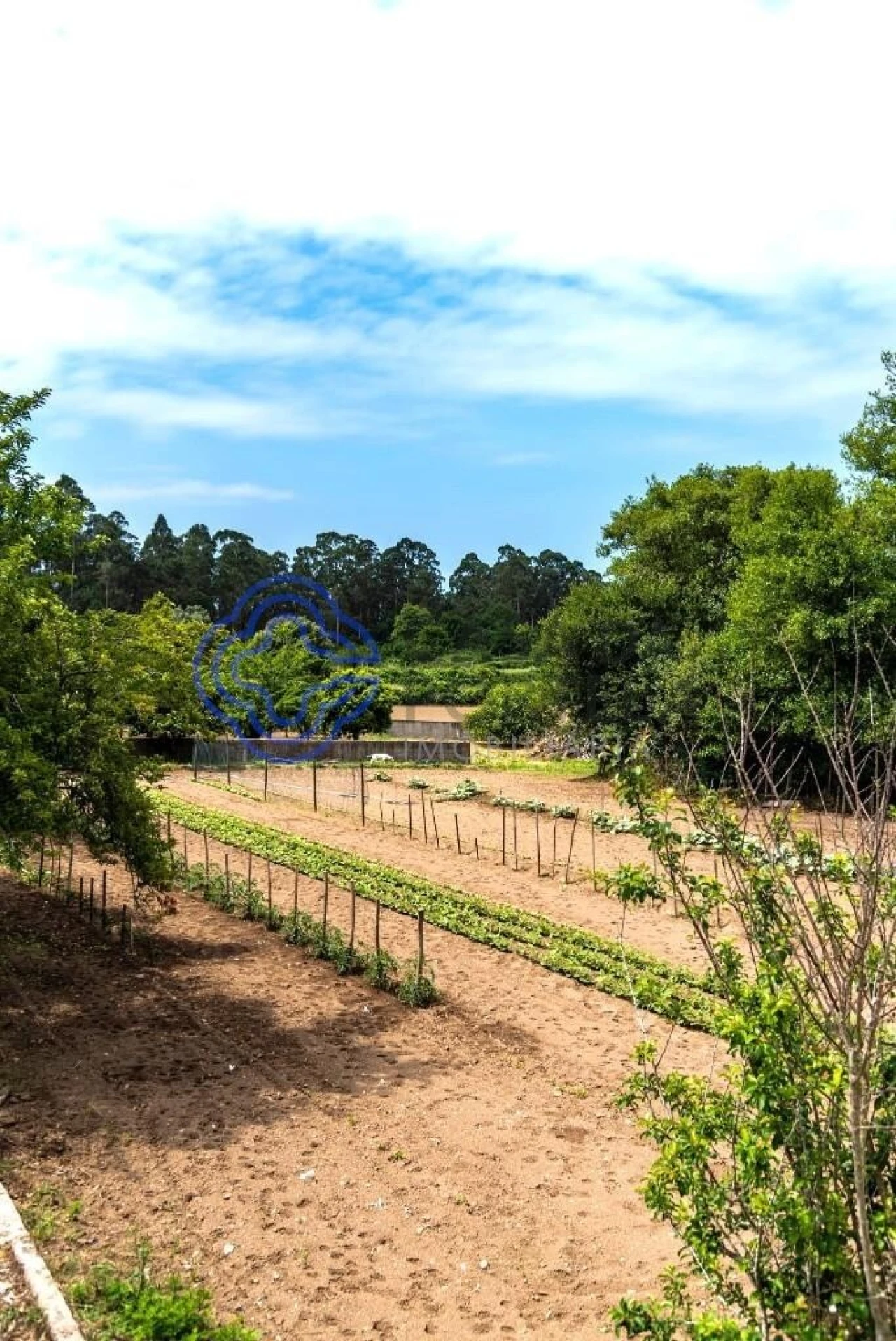 Moradia T4 para Venda em Gemeses Foto 20