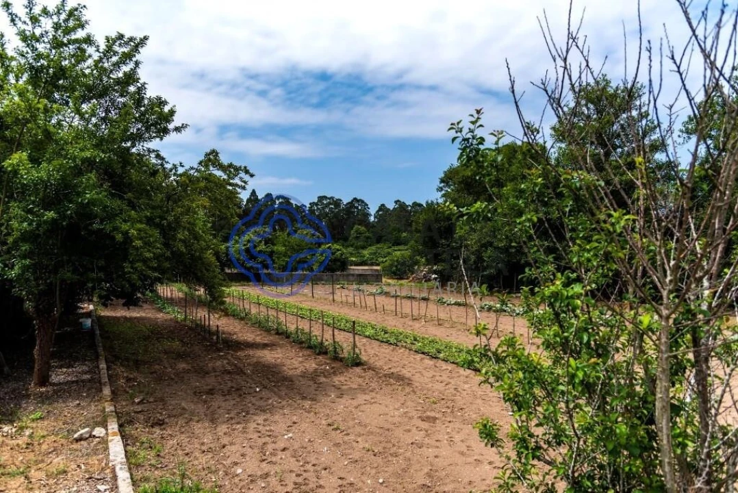 Moradia T4 para Venda em Gemeses Foto 21